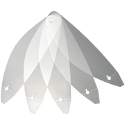 Shoei Abbey foils Tear-offs 5 pcs. X-Spr Pro (CWR-F2R)