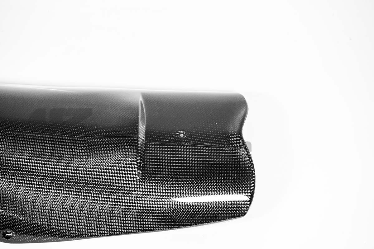 Bug spoiler 200g AP Carbon Line Aprilia RSV4/RR/1100 Factory (21-26) 