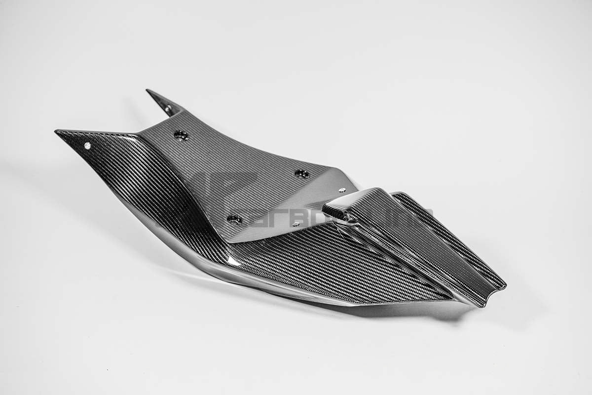 Heck cover 200g AP carbon line Aprilia RSV4/RR/1100 Factory (21-25)