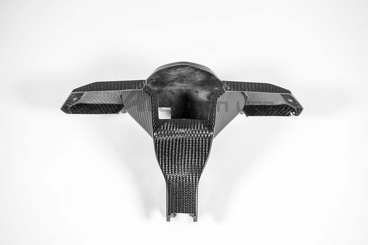 Suporte de instrumentos 200g AP Carbon Line Aprilia RSV4/RR/1100 Factory (21-25) 