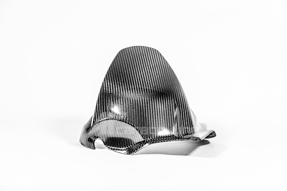 Guarda-lamas traseiro 200g AP Carbon Line Ducati Panigale V4/S/R (25-26) 