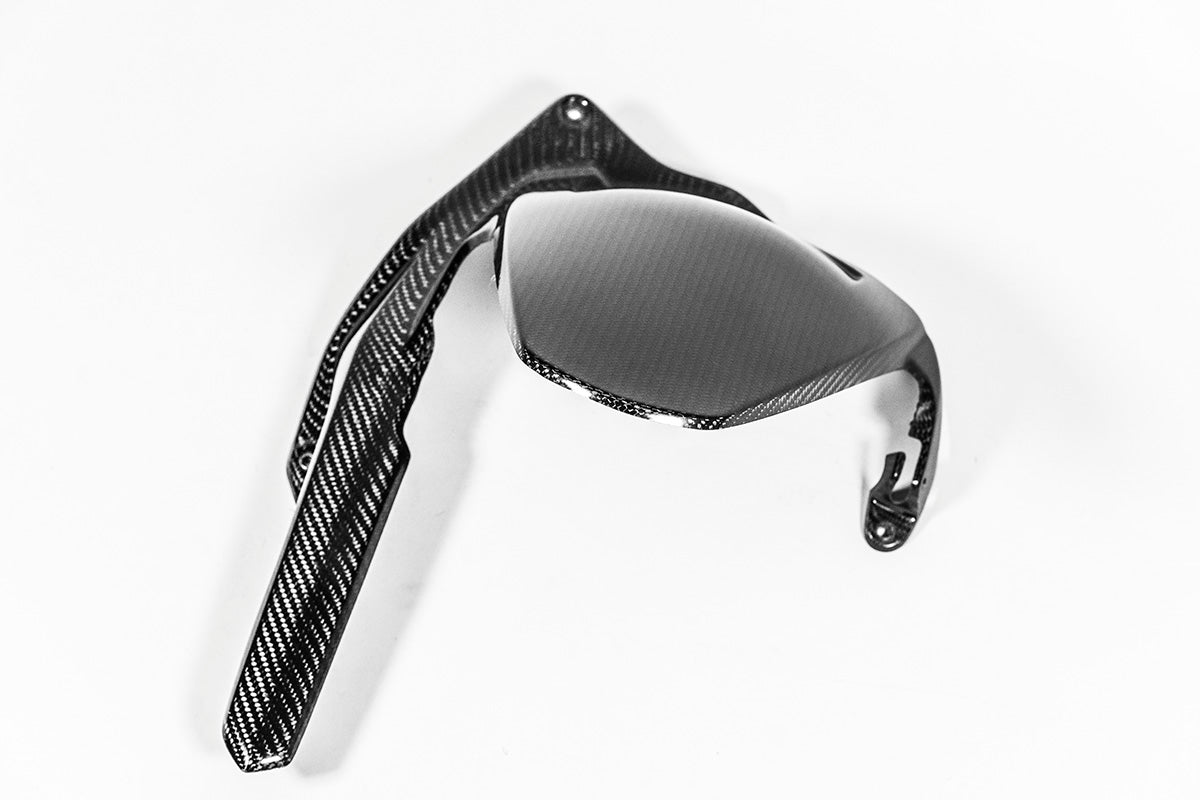 Guarda-lamas traseiro 200g AP Carbon Line Ducati Panigale V4/S/R (25-26) 