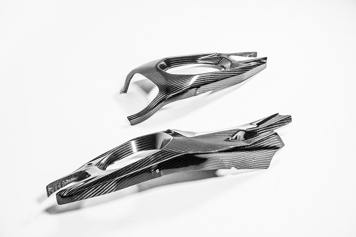 Cobrimentos de braço oscilante 200g AP Carbon Line Ducati Panigale V4/S/R (25-26) 