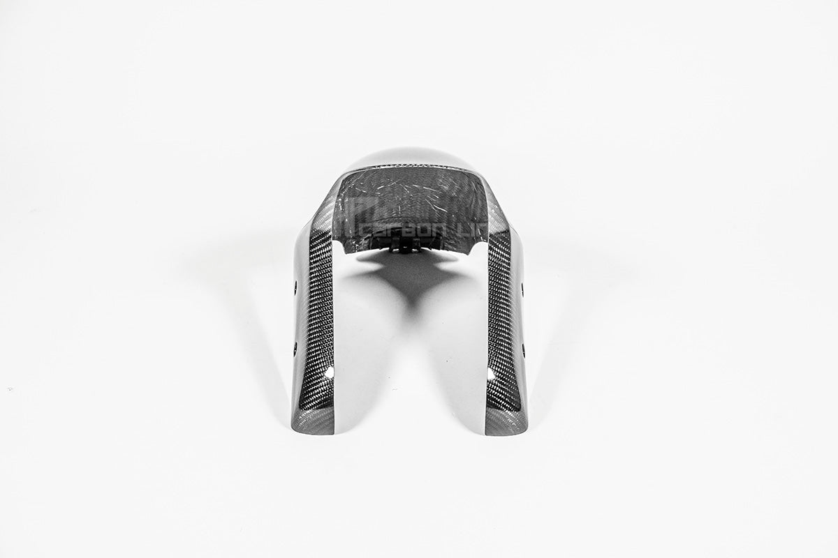 Front fender 200g AP Carbon Line Ducati Panigale V4/S/R (25-26) 