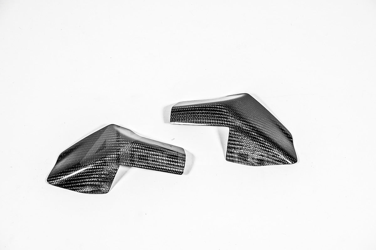 Proteção de depósito Proteções 200g AP Carbon Line Ducati Panigale V4/S (2025) 