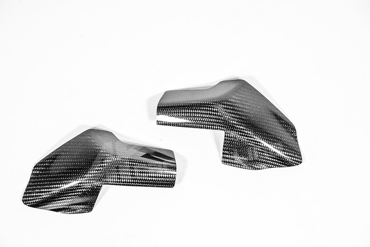 Proteção de depósito Proteções 200g AP Carbon Line Ducati Panigale V4/S (2025) 