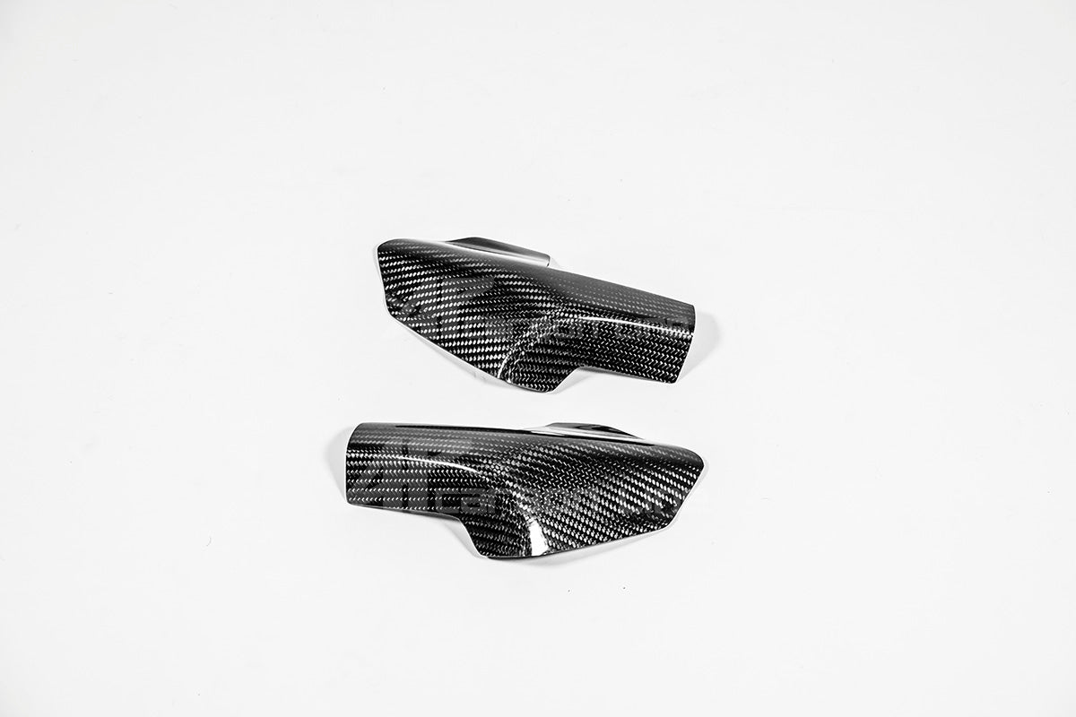 Proteção de depósito Proteções 200g AP Carbon Line Ducati Panigale V4/S (2025) 