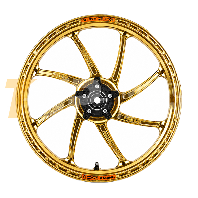 OZ GP Replica GP-8R aluminum rear wheel for BMW S1000RR K67 with M mounting (19-26) V6271BM60 