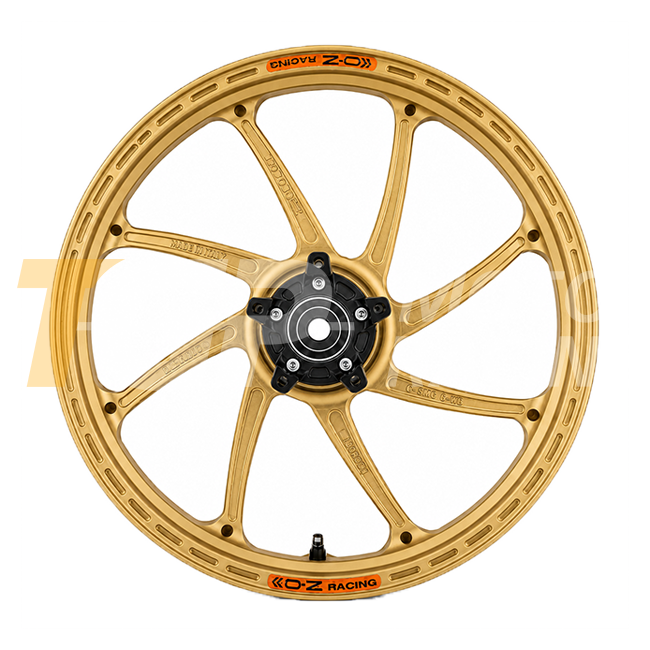 OZ GP Replica GP-8R aluminum rear wheel for BMW S1000RR K67 with M mounting (19-26) V6271BM60 