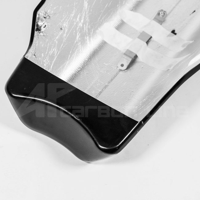 Bugpoiler Lavatex AP Carbon Line Ducati Panigale V4/S (2025)