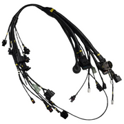 Main wiring harness WorldSSP Feel Racing Ducati Panigale V2 955 (20-24) FR.163.125 