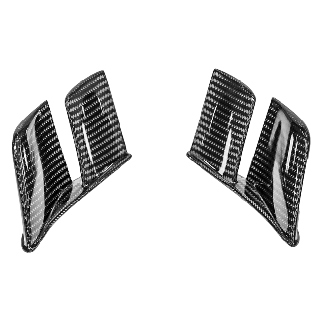 Asas traseiras MotoGP 200g AP Carbon Line Ducati Panigale V2 955 (20-24) 