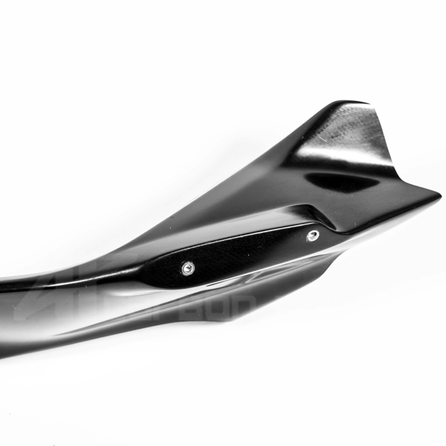 Rocking on the left Lavatex AP Carbon Line Ducati Panigale V4/S (2025)