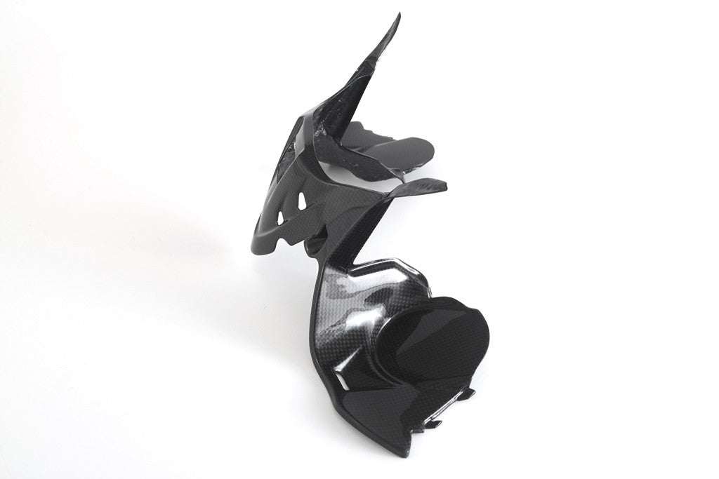 Instrument cover Carbon Fullsix Ducati Panigale 1299/S (15-18)