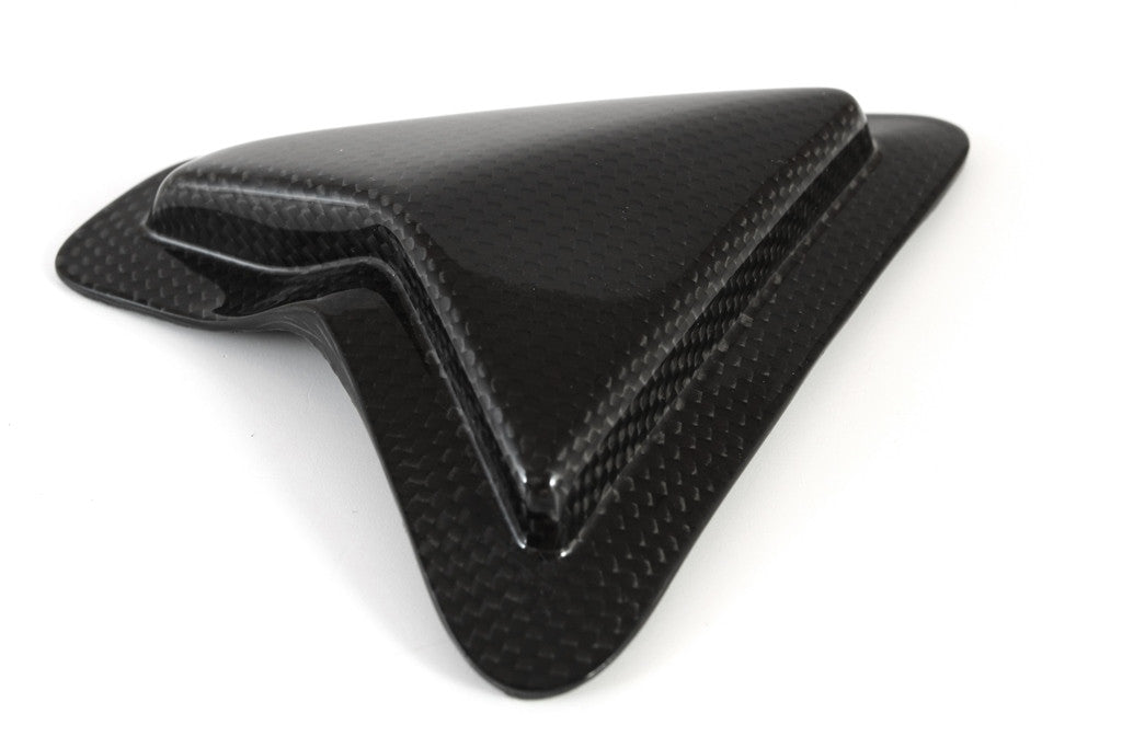 Slider swing protection Carbon Fullsix Ducati Panigale V2 955 (20-24)