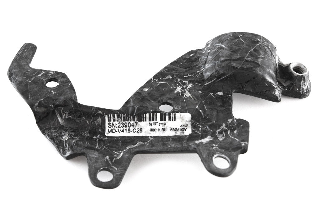 Owner compensation container "Back" Carbon Fullsix Ducati Panigale V4/S/R (18-21)